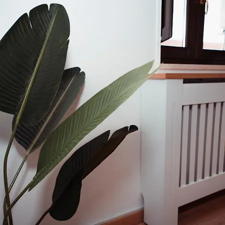 Sambass Boutique Apartment Capua